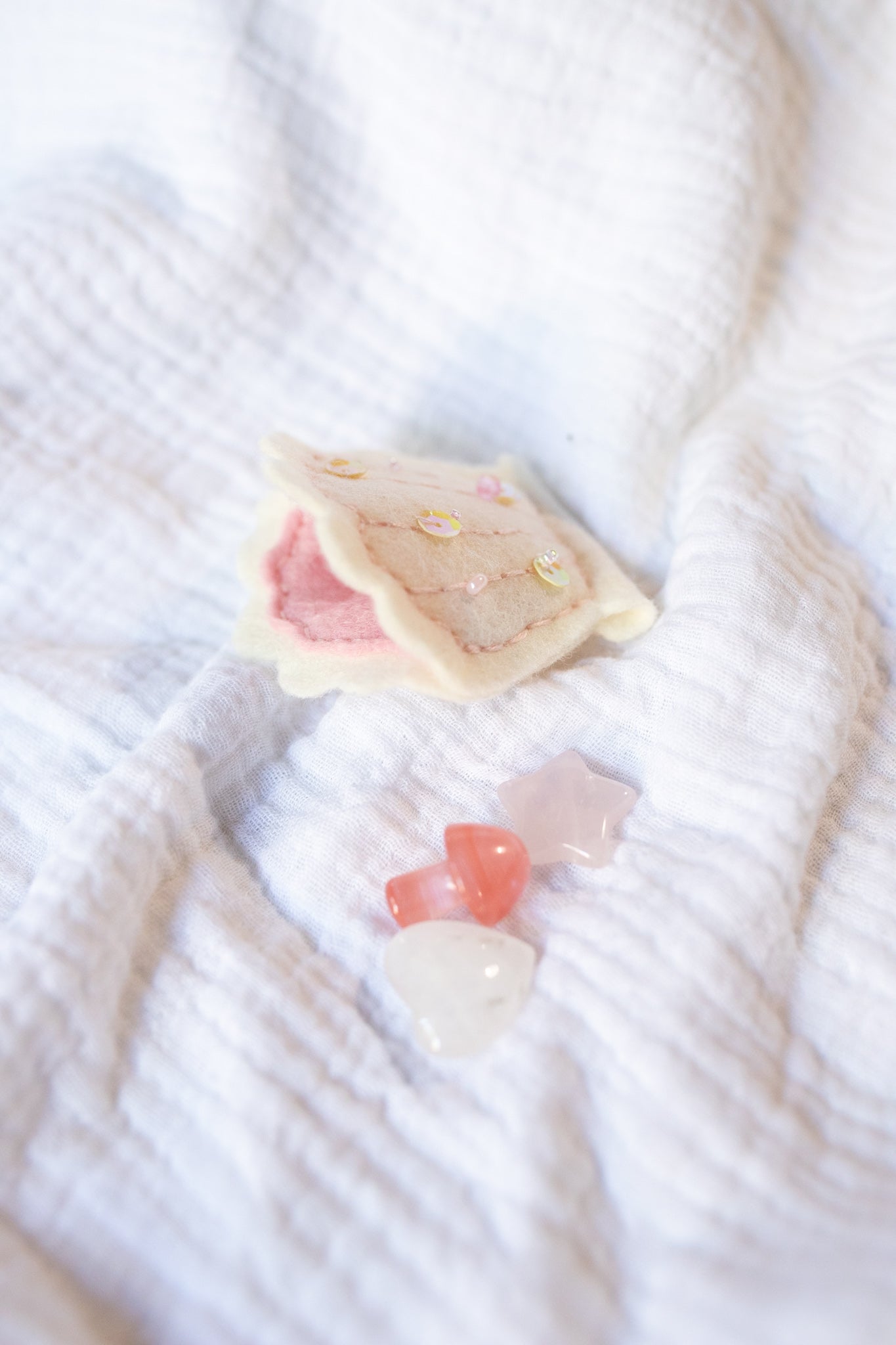 Seashell Felt Tooth Fairy Pouch